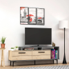tv1030sa tv stol k na no i k ch dub antr47737aad
